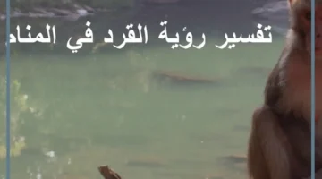 اللعب مع القرد في المنام