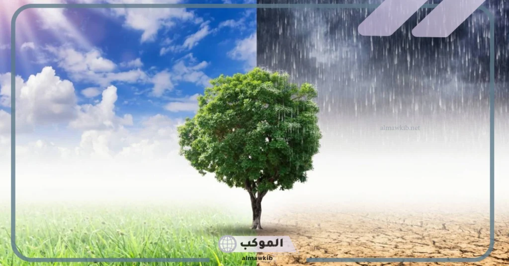 خاتمة بحث عن عناصر المناخ 