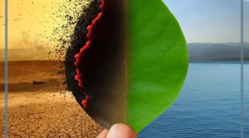 المناخ وعناصره