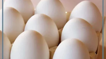 بيض في المنام