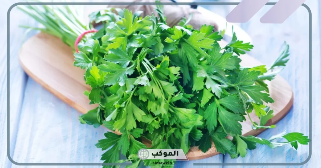 تفسير حلم البقدونس في المنام والخضروات للمتزوجة والحامل والعزباء لابن سيرين 6 البقدونس في المنام للميت