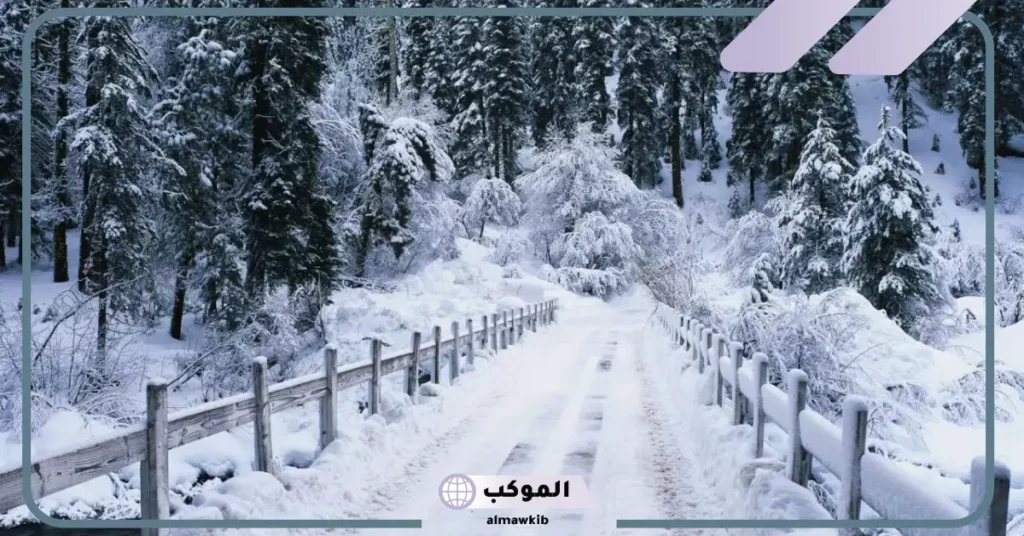 حلم الثلج الابيض للمطلقة