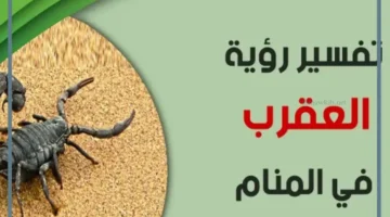 تفسير حلم العقرب الصفراء وقتلها 1