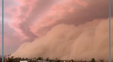 تفسير حلم الغبار والرياح للمتزوجة