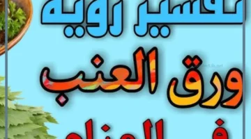 تفسير حلم ورق العنب للحامل لابن سيرين