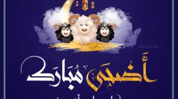 تهاني مكتوبة