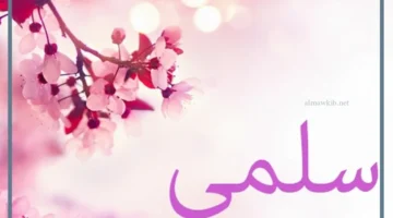 توام بحرف السين
