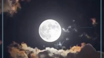 جمال القًمر