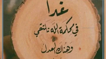 حالات للواتس