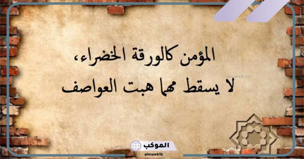 حالات واتس حكم عن الحياة