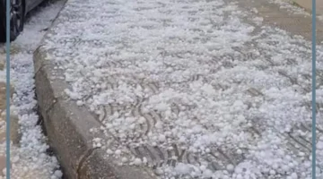 حلم حبات البرد