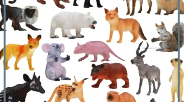 حلمت بالحيوانات