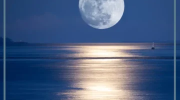 حلمت بالقمر