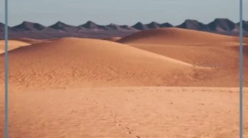 حلمت بصحراء