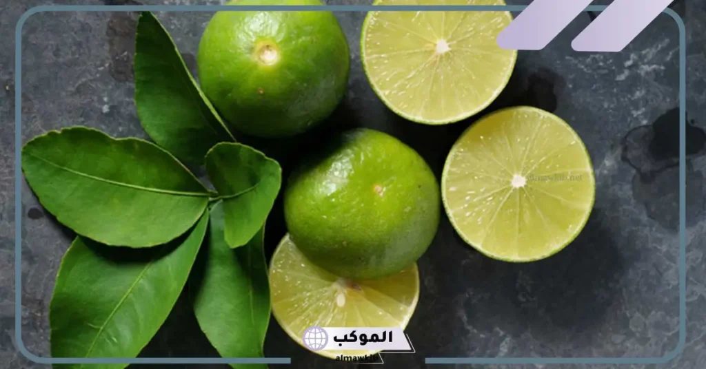 تفسير حلم شجرة الليمون للعزباء