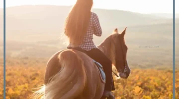 دلالات لرؤية ركوب الخيل في المنام