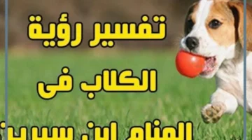 رؤية الكلاب في المنام والخوف منها