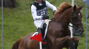 رؤية ركوب الخيل