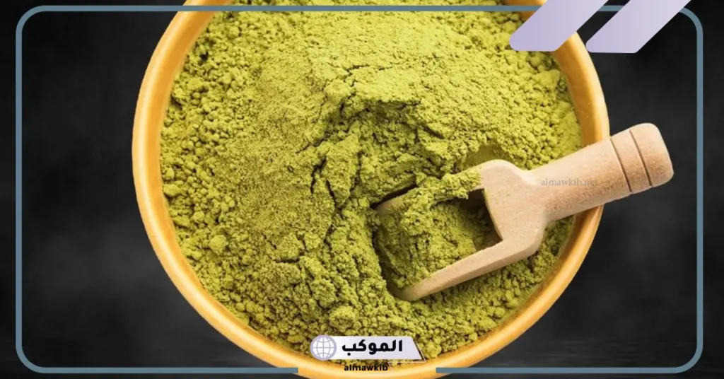 تفسير رؤية السدر المطحون في المنام لابن سيرين وكبار العلماء 6 رؤية السدر على الشعر في المنام للعزباء