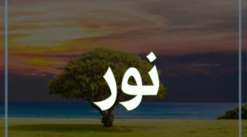 صفات اسم نور