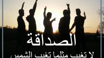 عبارات مؤثرة عن الصديق