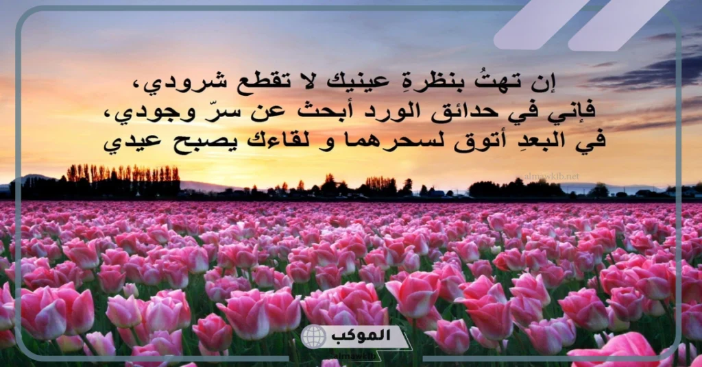 عبارات عن الورد والشتاء 