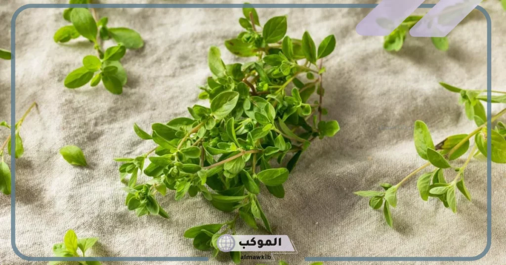 كم يوم اشرب البردقوش لتنظيم الهرمونات 