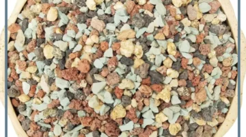 عشبة العنزروت