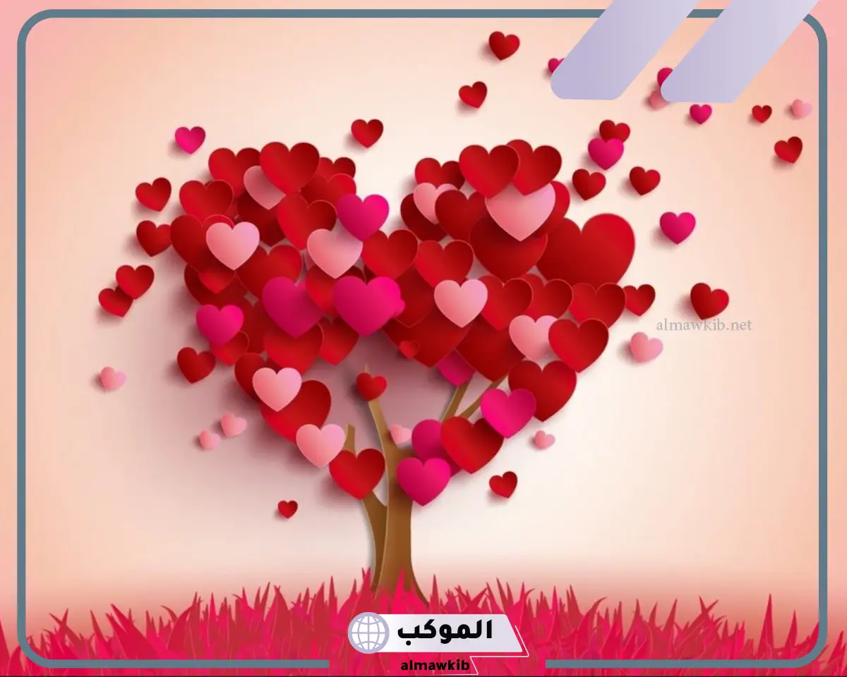 شعر الحبيب جميل رومانسي