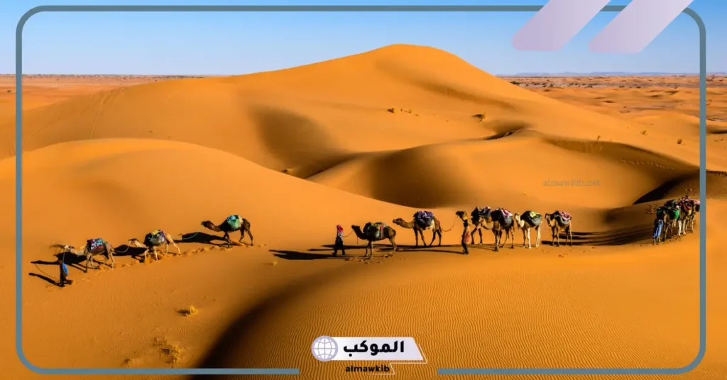 العطيشان وش يرجعون وأصلهم ونسبهم من وين 5 عائلة العطشيان من وين