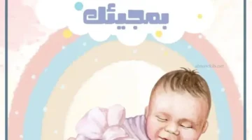 عقيقة مولود