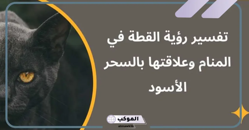 تفسير حلم قطة سوداء تلاحقني للعزباء 