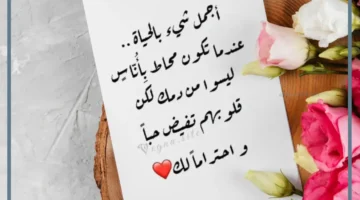 كلام جميل عن الحياة