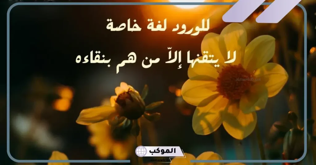 عبارات جميلة عن الورد تويتر