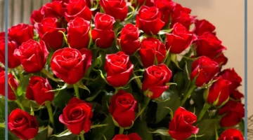 كلام مميز عن الورد