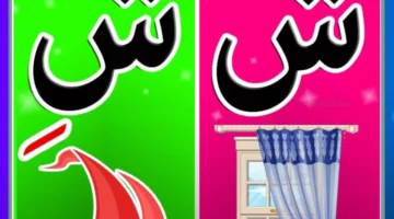 كلمات بحرف شين