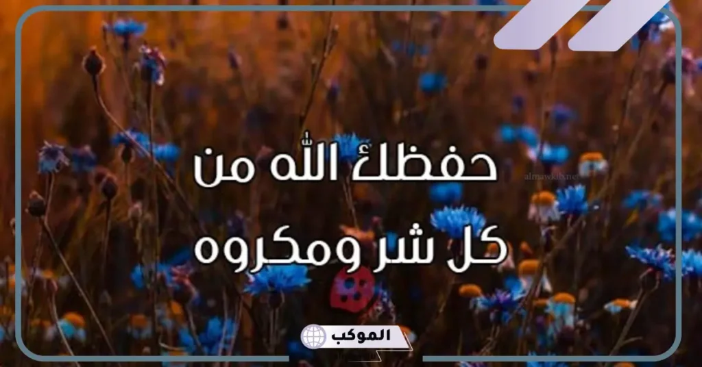 اذا احد قال الله عليك وش ارد