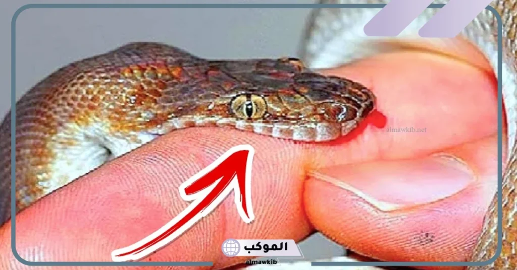 تفسير حلم لدغة الثعبان في القدم