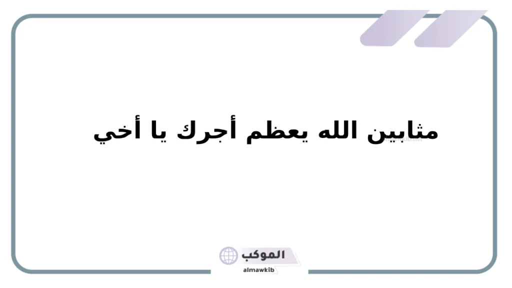 مأجورين والسلامة شحالكم 