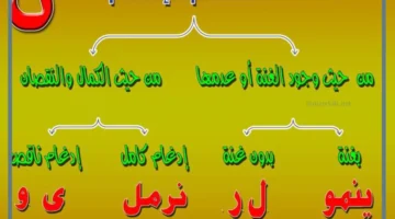 ما هي أقسام الإدغام