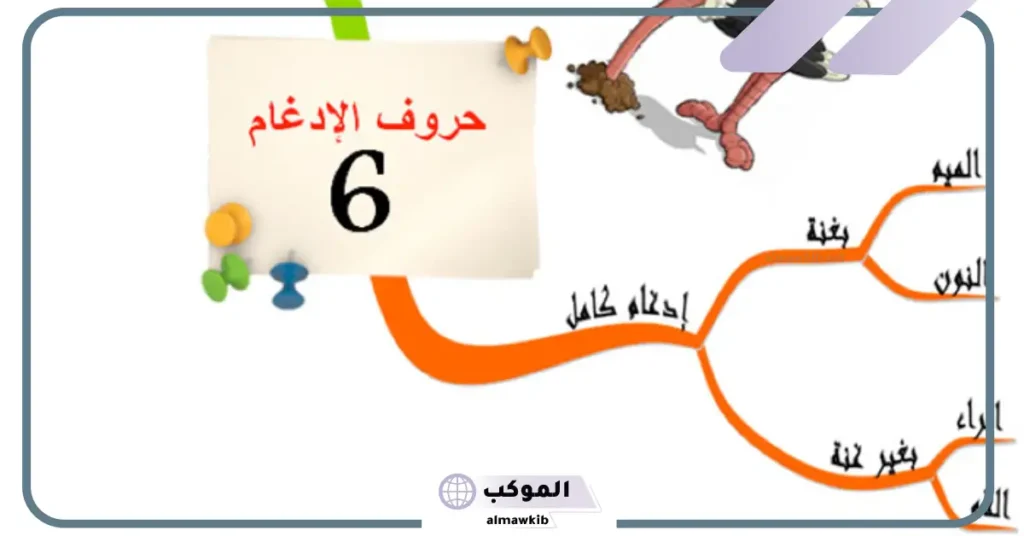 ما هي أبرز انواع الادغام؟ أقسام الإدغام الكامل والناقص 5 تعريف الإدغام