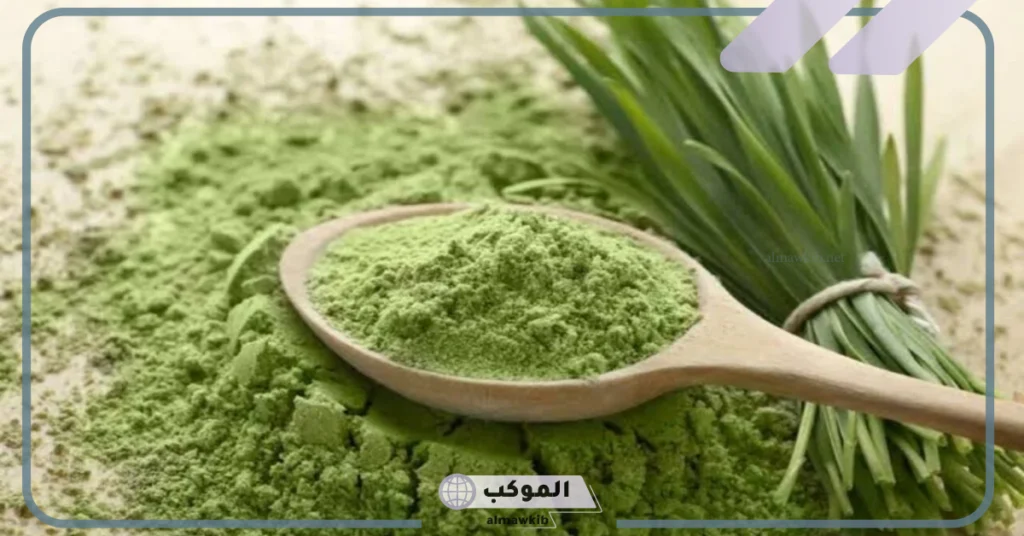 أضرار السدر للشعر 