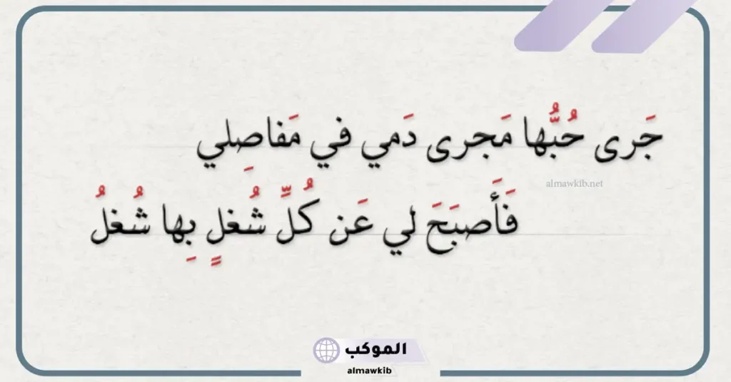 اجمل ما قال المتنبي في مدح نفسه 
