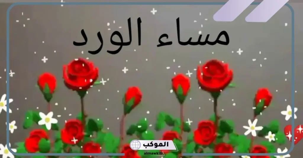 أجمل رد على مساء الخير، ردود على عبارات مساء الخير 6 مساء الخير كلمات جميلة