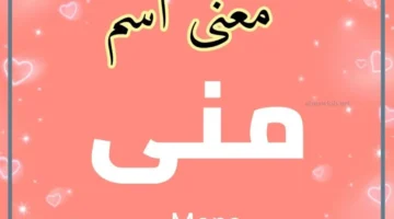 معنى اسم منى في الحلم