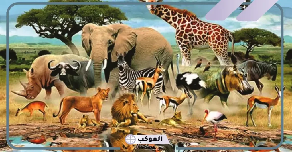 تفسير رؤية الضباع في المنام