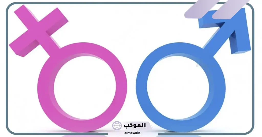 تعريف الشيميل