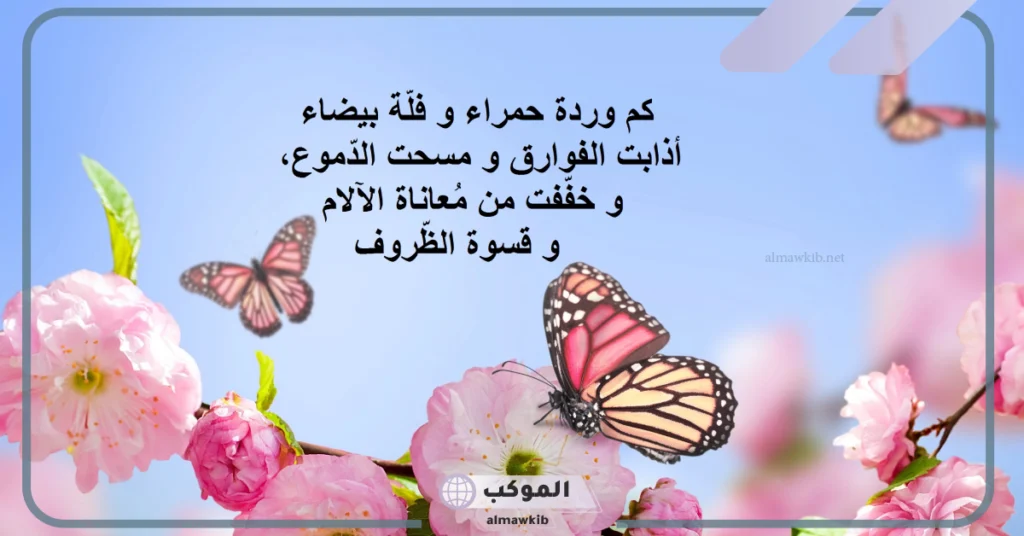 كلام غزل عن الورد 