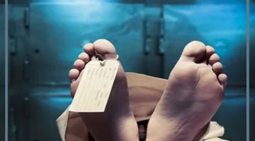 أخذ الأكل من الميت في المنام