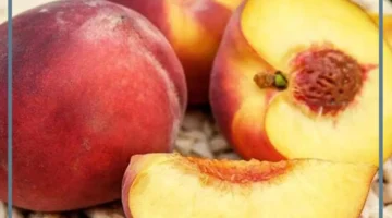 أخذ الدراق في المنام